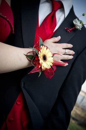 Prom-3