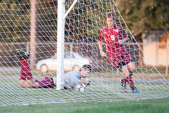 vs Orchard View-79